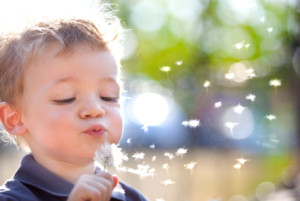Long Island Indoor Air Quality